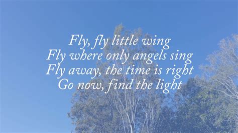 fly lyrics celine|fly little wing.